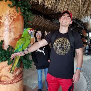 Meet your Posher, Brandon